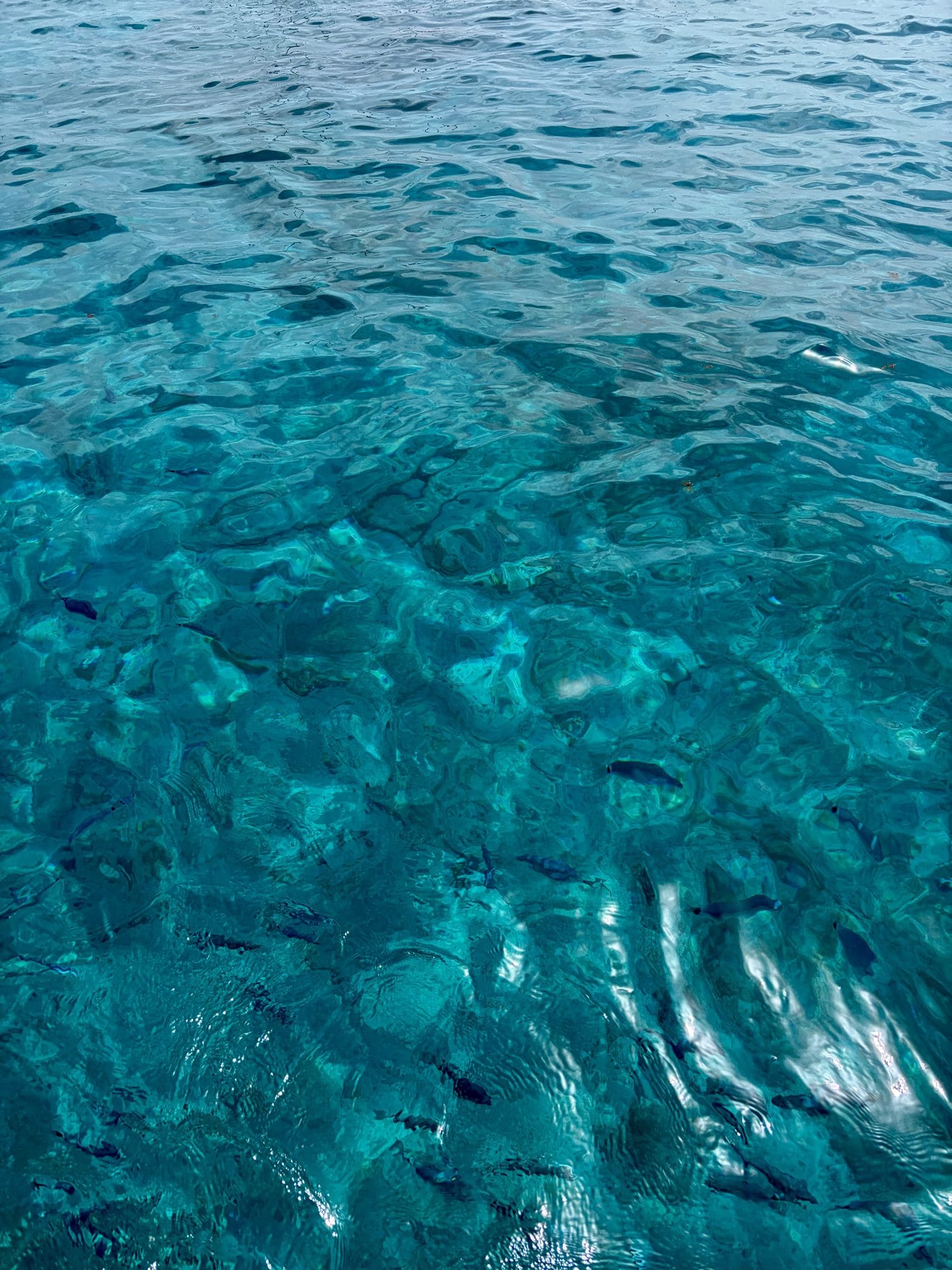 Clear turquoise water with fish