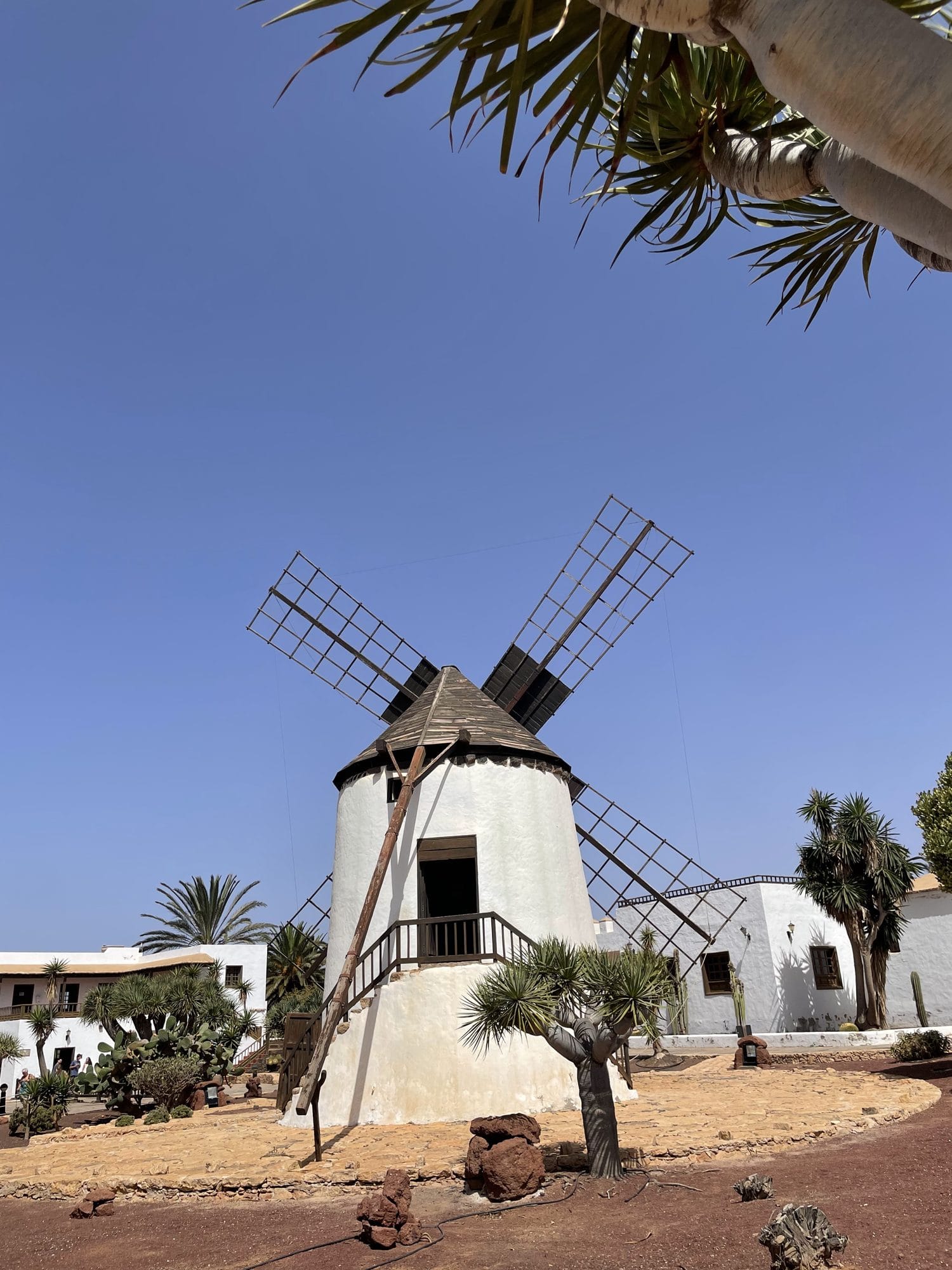 The windmill at the Museo del Queso Majorero
